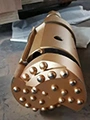 Concentric Casing Drilling System with Double Wings