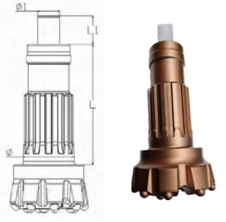 DTH drill bits with skirt